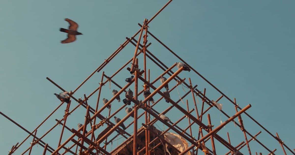Your Supplier Charged VAT Wrongly, Then Went Bust. Now What?