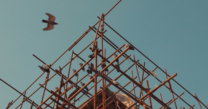 Your Supplier Charged VAT Wrongly, Then Went Bust. Now What?