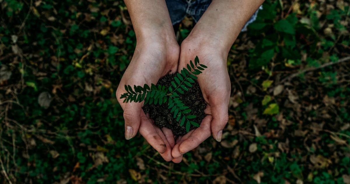 UK Sustainability Reporting: A Transition Year